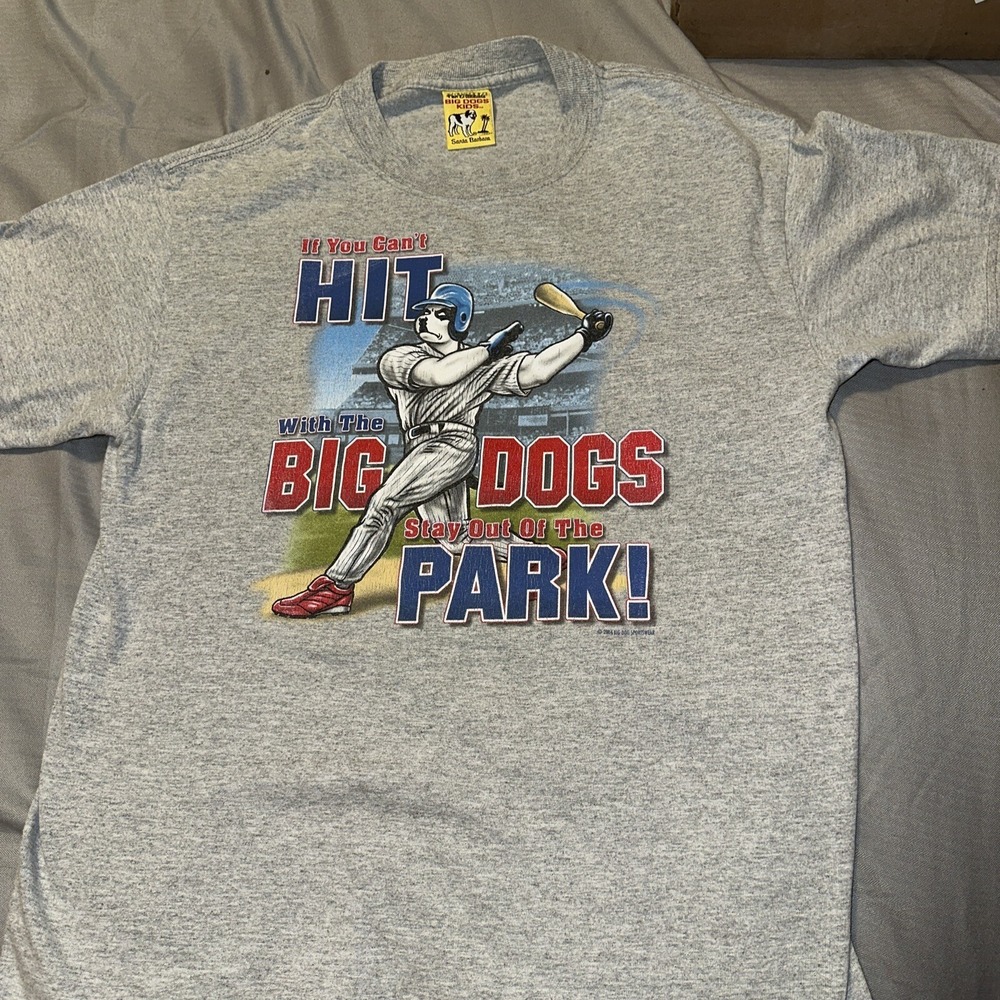 Big Dogs Kids Vintage 2004 Baseball Graphic T-Shirt Gray Heather L/XL